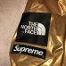 画像7: Supreme × THE NORTHFACE - Gold メタリックマウンテンパーカー
