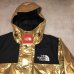 画像5: Supreme × THE NORTHFACE - Gold メタリックマウンテンパーカー