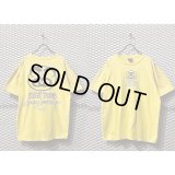 STUSSY - 00's Nubian Ibex Tee