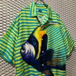 画像2: KENZO - Tropical Fish Open Collar Shirt (2)