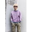 画像8: Champion - 90's Reverse Weave Sweat (8)