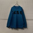 画像1: DIESEL - "Logo" Pullover Knit (1)