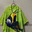 画像4: KENZO - Tropical Fish Open Collar Shirt (4)