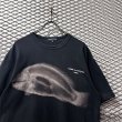 画像4: COMME des GARCONS HOMME - Fish X-ray Tee (4)