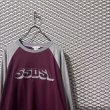 画像4: DIESEL - Raglan Switching L/S Tee (4)