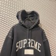 画像3: SUPREME - Studs Hoodie Setup (3)